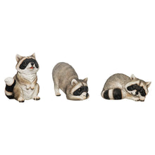 Load image into Gallery viewer, Resin Raccoons 3 Assorted