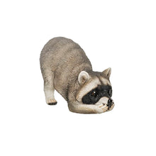 Load image into Gallery viewer, Resin Raccoons 3 Assorted
