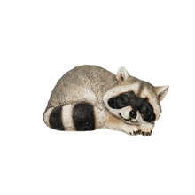 Load image into Gallery viewer, Resin Raccoons 3 Assorted
