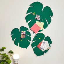 Load image into Gallery viewer, Monstera Leaf Corkboard Set of 3