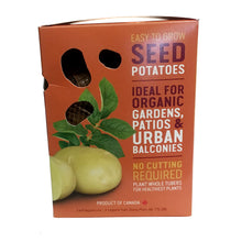 Load image into Gallery viewer, Seed Potato - Goldeye, Earth Apples, 1kg Box