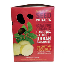 Load image into Gallery viewer, Seed Potato - Melody, Earth Apples, 1kg Box