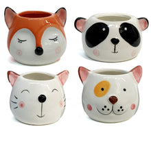 Load image into Gallery viewer, Planter, 2.5, Animal Set, Ast