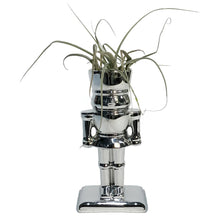 Load image into Gallery viewer, Tillandsia With Nutcracker Pot