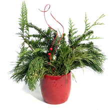 Load image into Gallery viewer, Christmas Planter, White Pot, Red Pot with Snowfla