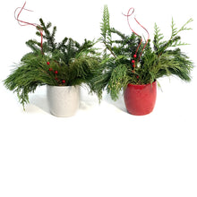 Load image into Gallery viewer, Christmas Planter, White Pot, Red Pot with Snowfla