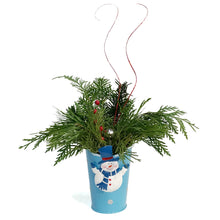 Load image into Gallery viewer, Christmas Planter, Tin, Holiday Friends