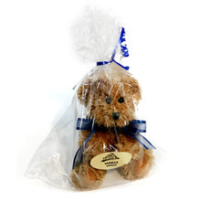 Load image into Gallery viewer, Aroma Sitting Bears, Assorted