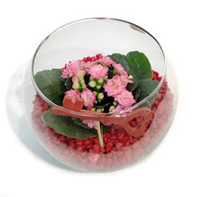 Load image into Gallery viewer, Valentines Planter, Heart Of Glass Garden In Bag