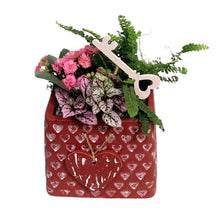 Load image into Gallery viewer, Valentines Planter, Devotion Bags, Assorted
