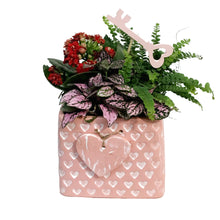 Load image into Gallery viewer, Valentines Planter, Devotion Bags, Assorted