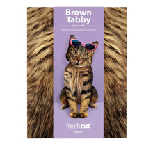 Load image into Gallery viewer, Brown Tabby Cat 3D, Pop-Up Card