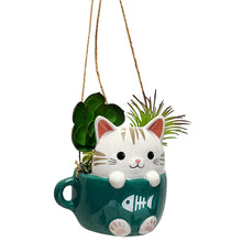 Load image into Gallery viewer, Planter, Cats In Cups, Hanging