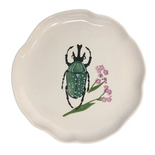 Load image into Gallery viewer, Plates, Botanical Beetles