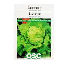 Load image into Gallery viewer, Lettuce - White Boston Seeds, OSC