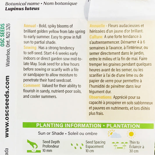 Lupin - Golden Yellow Seeds, OSC
