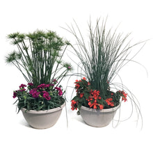 Load image into Gallery viewer, Planter, 10in, Bowl, Assorted