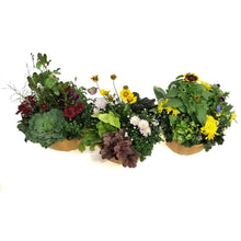 Load image into Gallery viewer, Planter, 25cm, Jolly Pumpkin Mix
