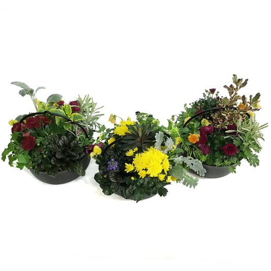 Planter, 25cm, Magic Potion Mix