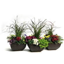 Load image into Gallery viewer, Planter, 26cm, Ann's Spice Mix