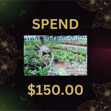 Load image into Gallery viewer, Physical Gift Card, $150.00