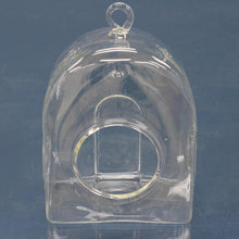Load image into Gallery viewer, Vase, 5in, Glass, Edina Hanging Terrarium - Floral Acres Greenhouse & Garden Centre