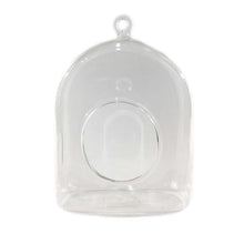Load image into Gallery viewer, Vase, 5in, Glass, Edina Hanging Terrarium