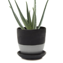 Load image into Gallery viewer, Pot & Saucer, 'Big Dyad', 6in - Floral Acres Greenhouse & Garden Centre