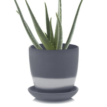 Load image into Gallery viewer, Pot & Saucer, 'Big Dyad', 6in - Floral Acres Greenhouse & Garden Centre