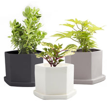 Load image into Gallery viewer, Pot & Saucer, 'Big Hexi', 4in - Floral Acres Greenhouse & Garden Centre