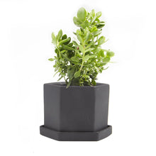 Load image into Gallery viewer, Pot & Saucer, 'Big Hexi', 4in - Floral Acres Greenhouse & Garden Centre