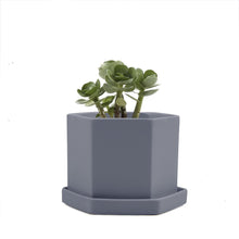 Load image into Gallery viewer, Pot & Saucer, 'Big Hexi', 4in - Floral Acres Greenhouse & Garden Centre