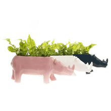 Load image into Gallery viewer, Rhino Planter, 3 Asst. Colours - Floral Acres Greenhouse & Garden Centre