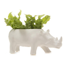 Load image into Gallery viewer, Rhino Planter, 3 Asst. Colours - Floral Acres Greenhouse & Garden Centre