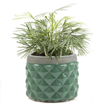 Load image into Gallery viewer, Pina Pot, 2in, Asst.