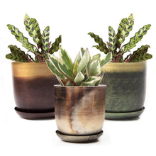 Load image into Gallery viewer, Pot & Saucer, 'Big Joe', 5in - Floral Acres Greenhouse & Garden Centre