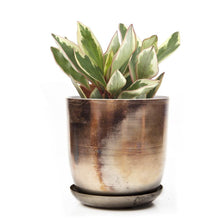 Load image into Gallery viewer, Pot & Saucer, 'Big Joe', 5in - Floral Acres Greenhouse & Garden Centre