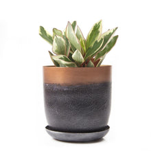 Load image into Gallery viewer, Pot & Saucer, 'Big Joe', 5in - Floral Acres Greenhouse & Garden Centre
