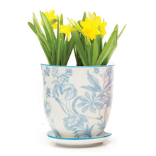 Load image into Gallery viewer, Pot & Saucer, 'Big Liberte' 2 Series - Floral Acres Greenhouse & Garden Centre