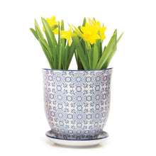 Load image into Gallery viewer, Pot & Saucer, 'Big Liberte' 2 Series - Floral Acres Greenhouse & Garden Centre