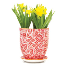 Load image into Gallery viewer, Pot & Saucer, 4in, Big Liberte 2