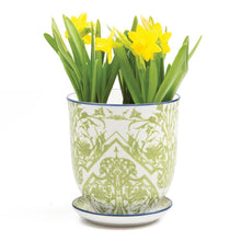 Load image into Gallery viewer, Pot & Saucer, 'Big Liberte' 2 Series - Floral Acres Greenhouse & Garden Centre