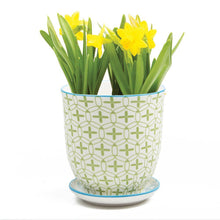 Load image into Gallery viewer, Pot & Saucer, 'Big Liberte' 2 Series - Floral Acres Greenhouse & Garden Centre