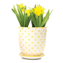 Load image into Gallery viewer, Pot & Saucer, 'Big Liberte' 2 Series - Floral Acres Greenhouse & Garden Centre