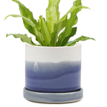 Load image into Gallery viewer, Pot & Saucer, 'Big Minute' 1 Series - Floral Acres Greenhouse & Garden Centre
