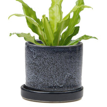 Load image into Gallery viewer, Pot & Saucer, 'Big Minute' 1 Series - Floral Acres Greenhouse & Garden Centre