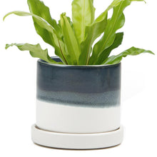 Load image into Gallery viewer, Pot & Saucer, 'Big Minute' 1 Series - Floral Acres Greenhouse & Garden Centre