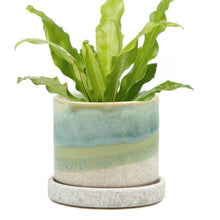 Load image into Gallery viewer, Pot & Saucer, 4in, Big Minute 1