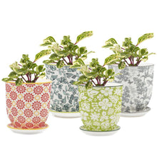 Load image into Gallery viewer, Pot & Saucer, 'Big Liberte' 3 Series - Floral Acres Greenhouse & Garden Centre