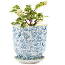 Load image into Gallery viewer, Pot & Saucer, 'Big Liberte' 3 Series - Floral Acres Greenhouse & Garden Centre